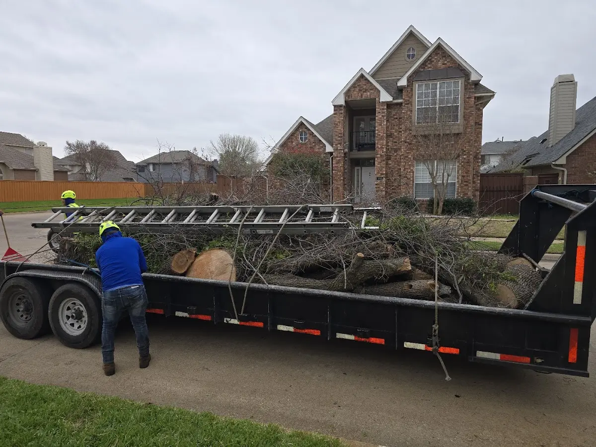 Expert Lot Clearing with proper safety equipment in Harlem
